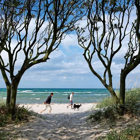 Ferienhaus Dänische Am Salzhaff Haus Im Wiesengrund