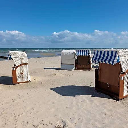 Ferienhaus Dänische Am Salzhaff Haus Im Wiesengrund Poel