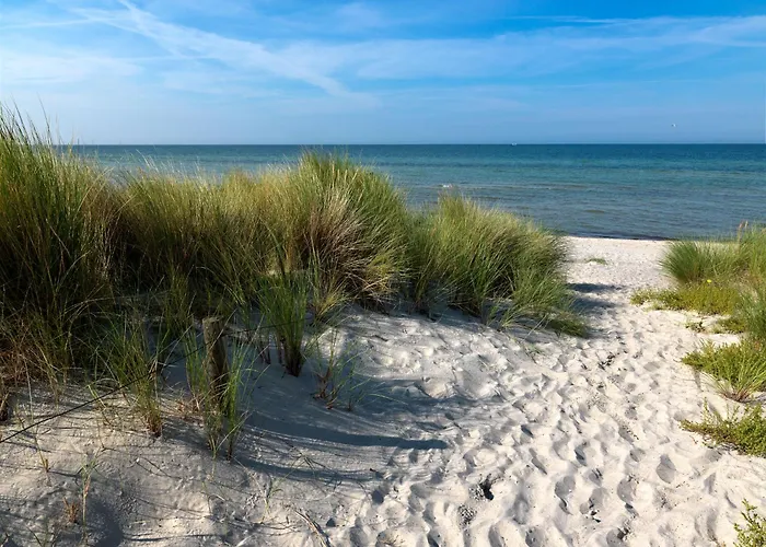 Daenische Ferienhaeuser Am Salzhaff Haus Im Wiesengrund Дом отдыха *